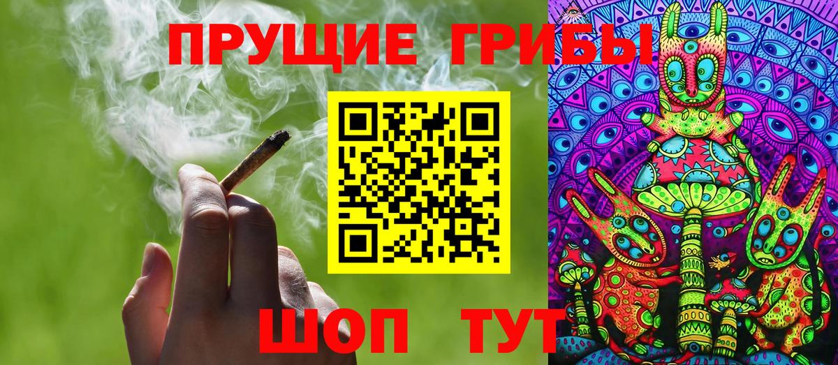 Галлюциногенные грибы Psilocybine cubensis Назарово