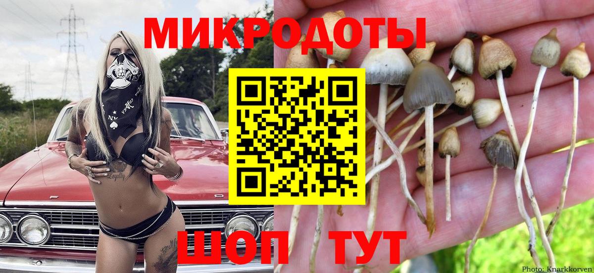 Псилоцибиновые грибы Cubensis  Вход с VPN  Назарово 